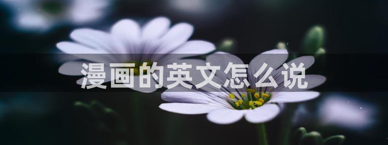 免费a漫 - 禁漫天堂